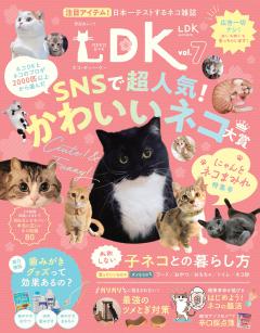 無料 ネコdk最新号 Vol 7 800誌以上の雑誌がサブスク読み放題 試し読み有り コスパ最強ブック放題