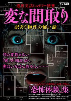 変な間取り 6月28日号増刊