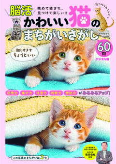 かわいい猫のまちがいさがし 6月30日号増刊