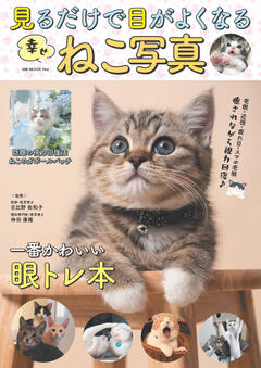 見るだけで目がよくなる幸せねこ写真 