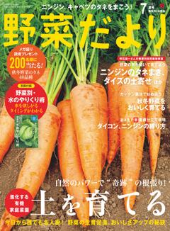野菜だより 2025年7月夏号