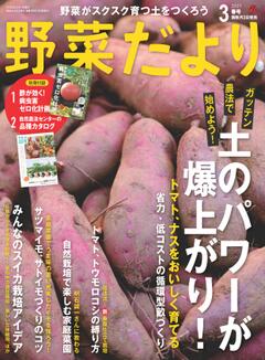 野菜だより 2025年3月春号