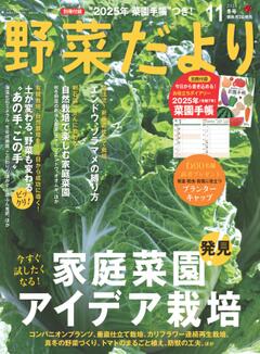 野菜だより 2024年11月冬号
