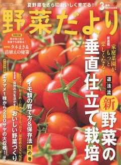 野菜だより 2024年3月春号