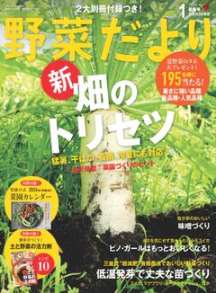 野菜だより 2024年1月新春号