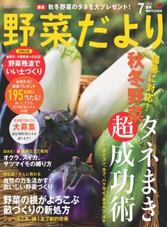 野菜だより 2024年7月夏号