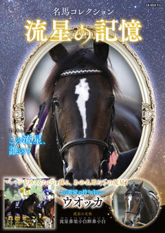 名馬コレクション 流星の記憶 