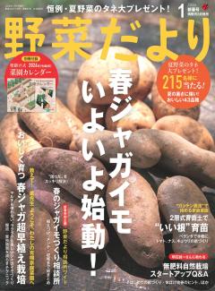 野菜だより 2026年1月号