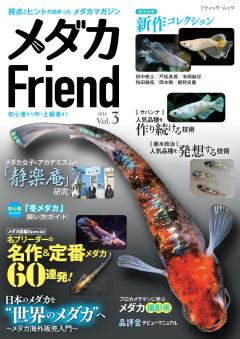 メダカFriend Vol.3