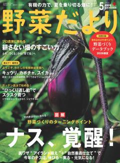 野菜だより 2026年5月号