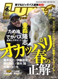 ルアーマガジン 26年6月号