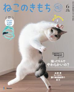 ねこのきもち 2026年6月号