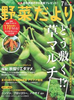 野菜だより 2026年7月号