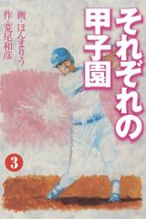 それぞれの甲子園