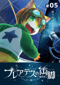 プレアデスの両脚