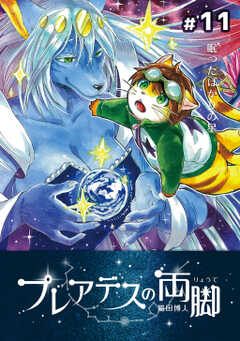 プレアデスの両脚