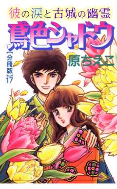 鳶色シャドウ　彼の涙と古城の幽霊【分冊版】17