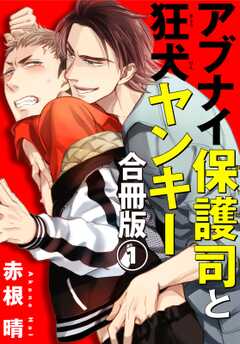 アブナイ保護司と狂犬ヤンキー　合冊版