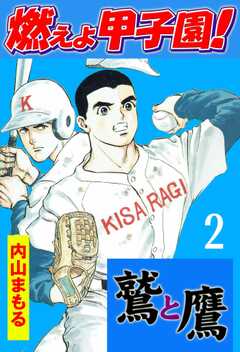 燃えよ甲子園！鷲と鷹