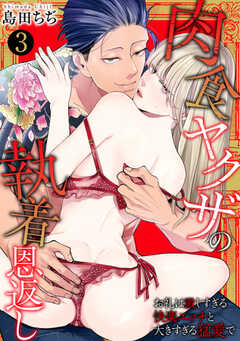 肉食ヤクザの執着恩返し　～お礼は激しすぎる快楽エッチと大きすぎる猛愛で～