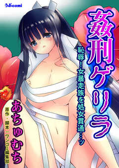 姦刑ゲリラ　第3巻