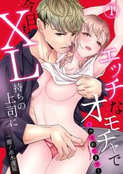 
                               【スパイシーレディ】...(1)
                                                          