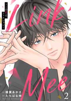Link Mee ～この恋は、フィクション～ （2）