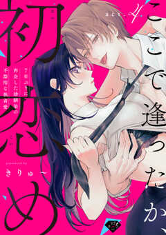【ラブチーク】ここで逢ったか、初恋め～7年ぶりに再会した幼馴染の不器用な執着愛～