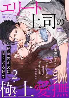 エリート上司の極上愛撫 秘密のキスに甘くとろけて (2)