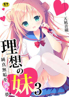 理想の妹～純真無垢を汚す夢～【R18版】