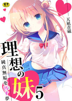 理想の妹～純真無垢を汚す夢～【R18版】