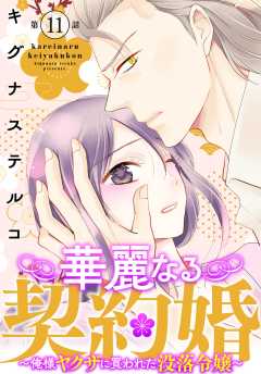 華麗なる契約婚 ~俺様ヤクザに買われた没落令嬢~11
