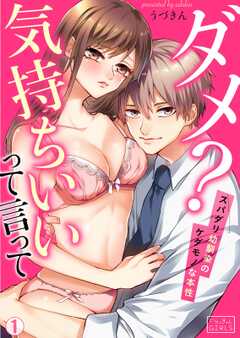 ダメ?気持ちいいって言って~スパダリ幼馴染のケダモノな本性(1)