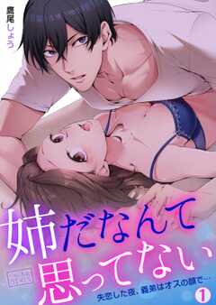 姉だなんて思ってない~失恋した夜、義弟はオスの顔で…(1)