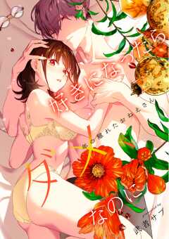 好きになったらダメ、なのに-年の離れたおねえさん-