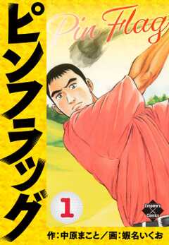 ピンフラッグ 3
