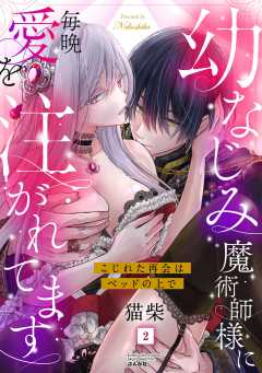 幼なじみ魔術師様に毎晩愛を注がれてます こじれた再会はベッドの上で