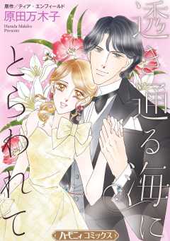 透き通る海にとらわれて【新装版】