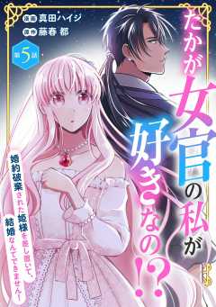 たかが女官の私が好きなの！？　婚約破棄された姫様を差し置いて、結婚なんてできません！