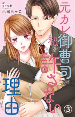 元カレ御曹司が私を許さない理由