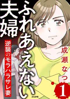 ふれあえない夫婦 逆襲のモラハラサレ妻