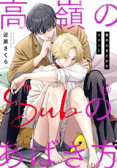 高嶺のSubのあばき方～君の心をとかすコマンド～10